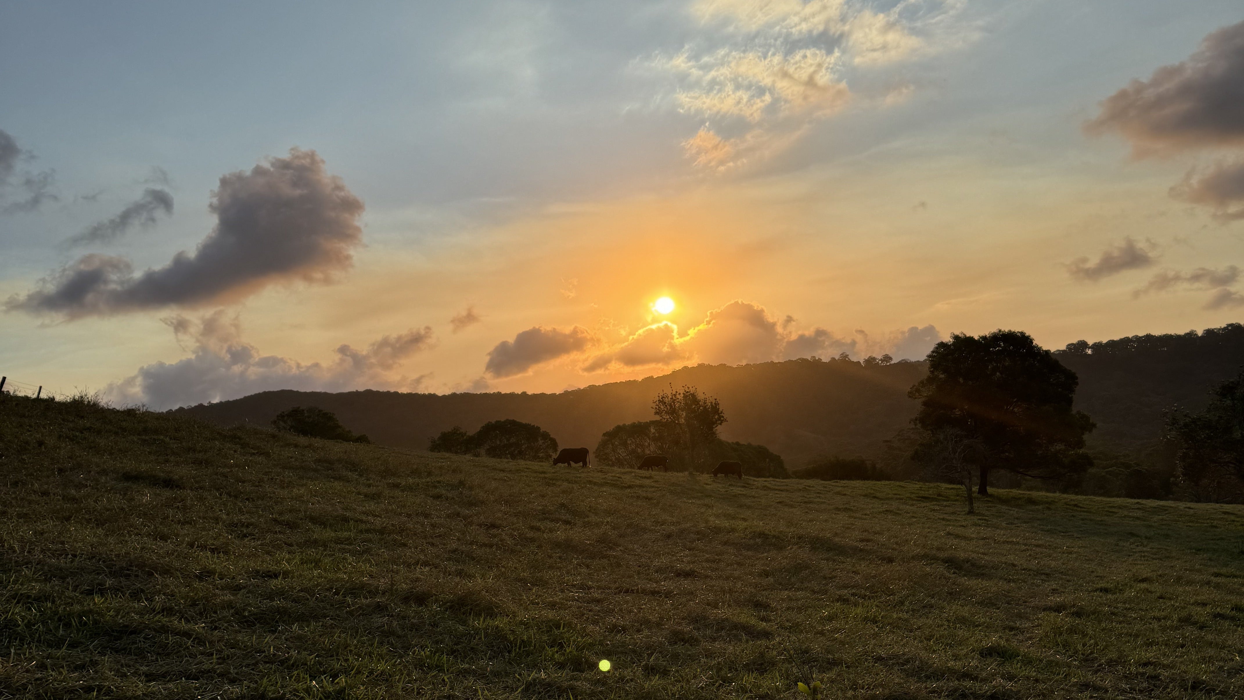 Farm Chats – Sableview Farm